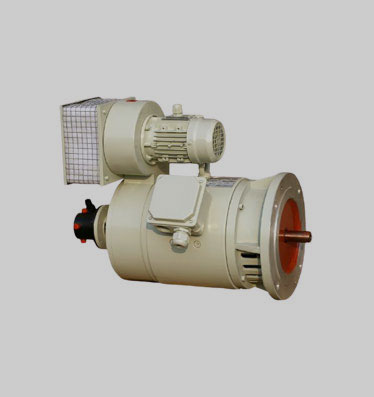 Motoare electrice speciale